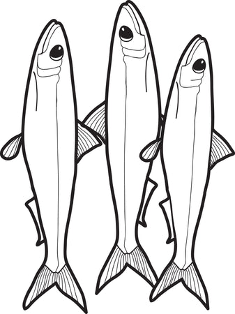 14 Free Fish Coloring Pages for Kids - Printable Coloring Sheets