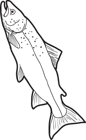 https://www.supplyme.com/cdn/shop/products/4279-fish-coloring-page_450x450.jpg?v=1569291566