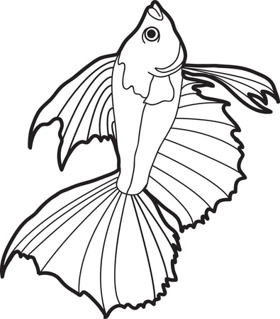 14 Free Fish Coloring Pages for Kids - Printable Coloring Sheets – SupplyMe