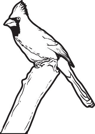 birds coloring pages for kids printable