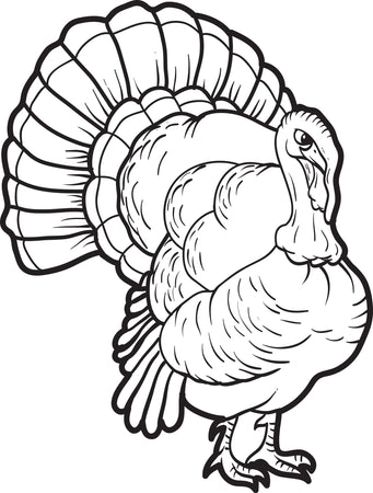 26 Free Turkey Coloring Pages for Kids - Printable Coloring Sheets ...