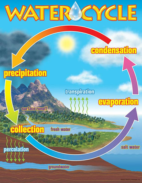 Trend Enterprises The Water Cycle Learning Chart | T-38119 – SupplyMe